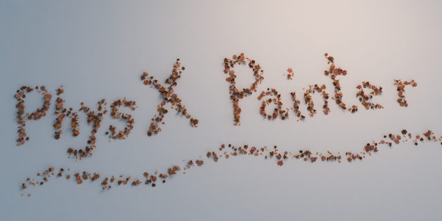 PhysX Painter
