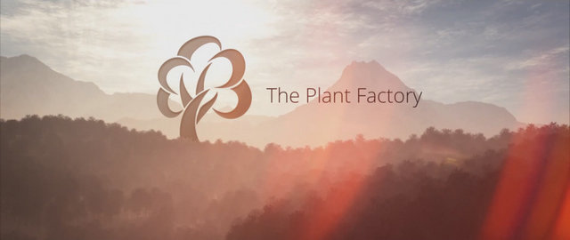 The Plant Factory