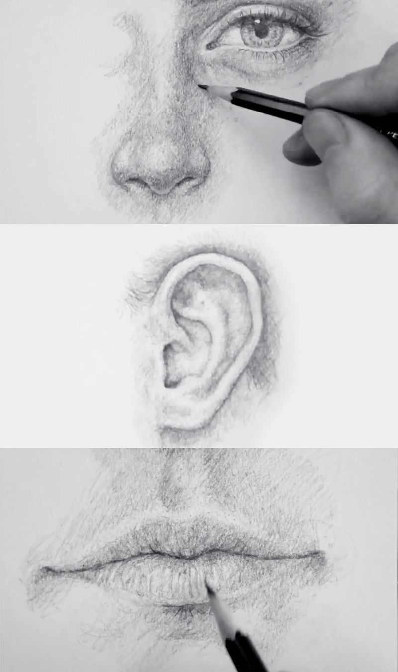 Apprendre à dessiner oeil, nez, lèvres et oreilles 3DVF