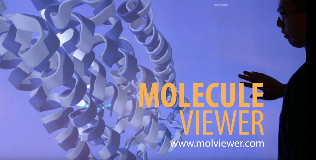 Molecule Viewer