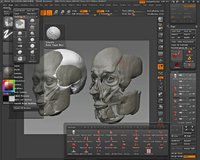 ZBrush - reconstruction faciale