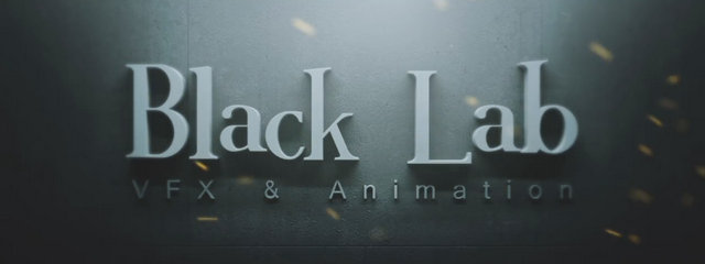 Black Lab