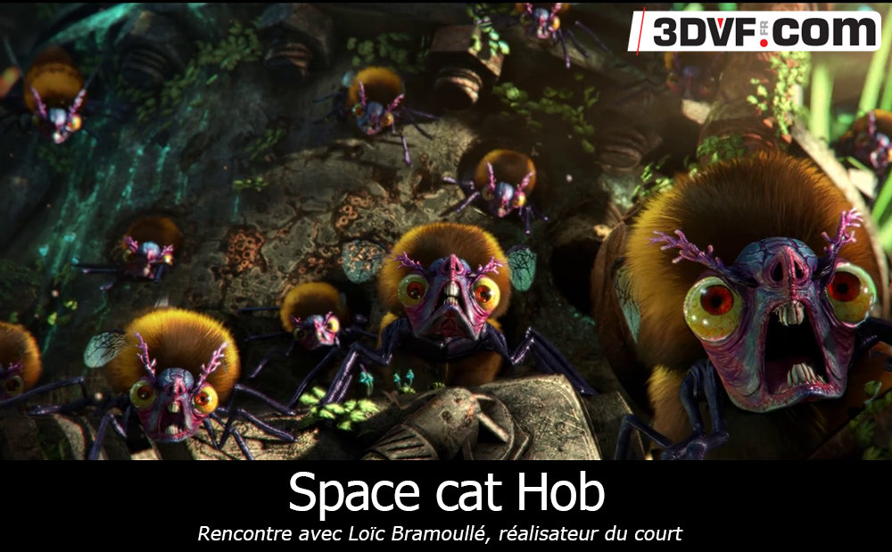 Space cat Hob